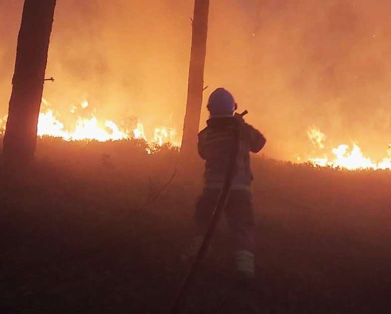 pożar w lesie, strażak, ogień